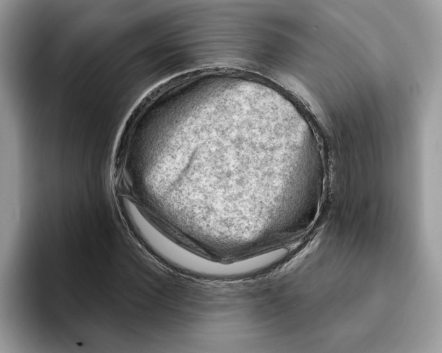 X0000093210924200710171338