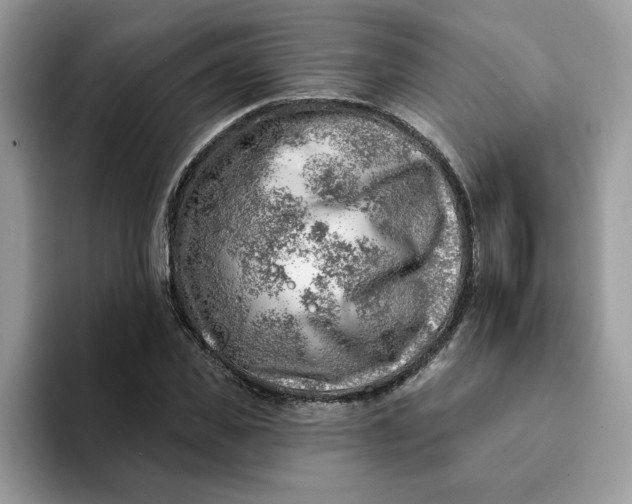 X0000093210925200710171338