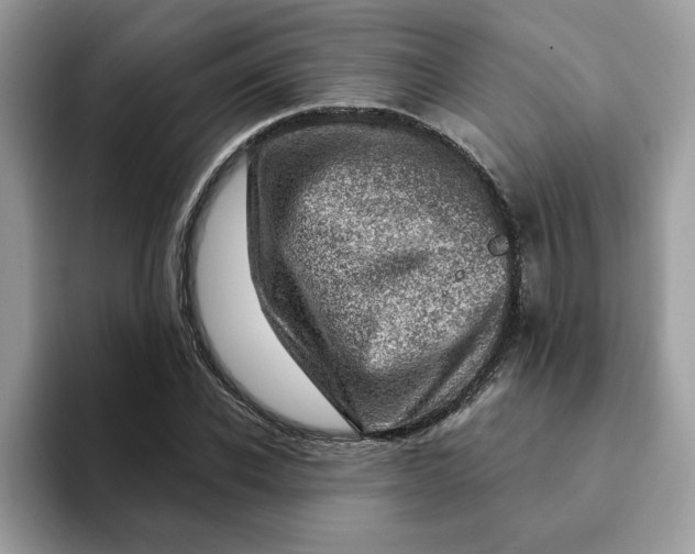 X0000093210926200710171338