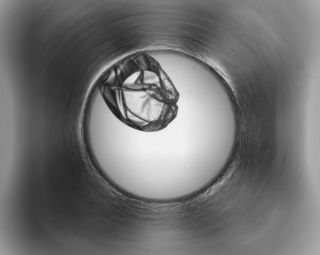 X0000093210928200710171338