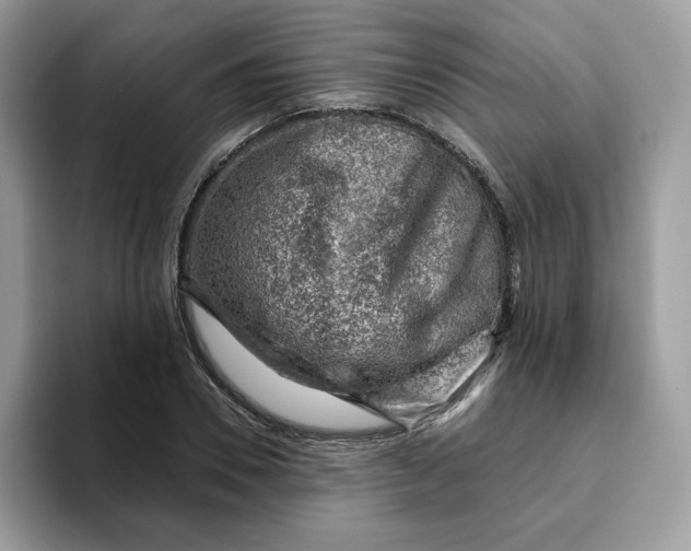 X0000093210930200710171338