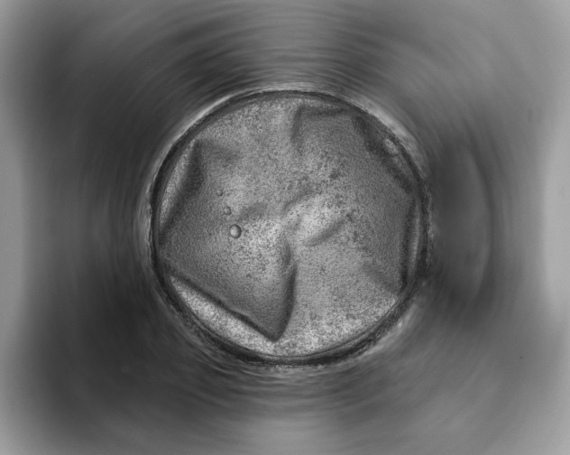 X0000093210933200710171338