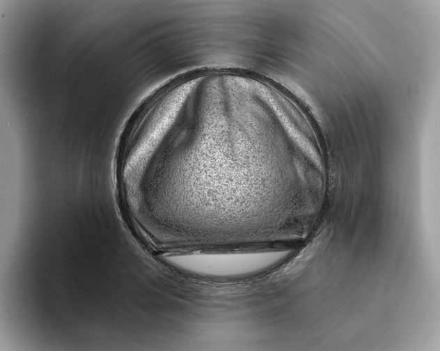 X0000093210935200710171338