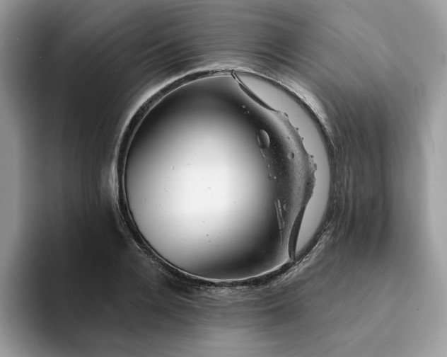 X0000093210936200710171338