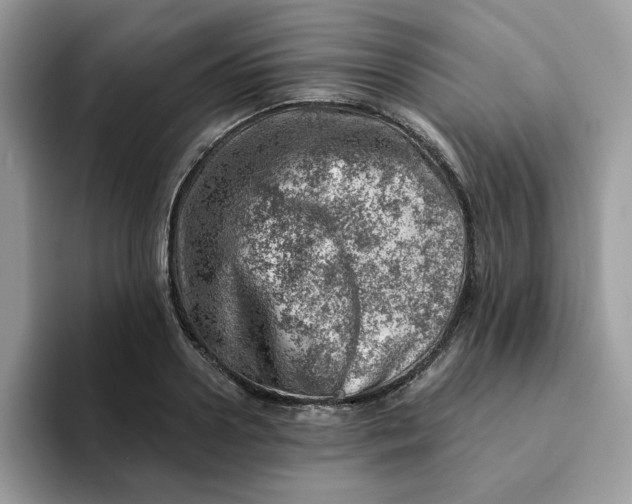 X0000093210938200710171338