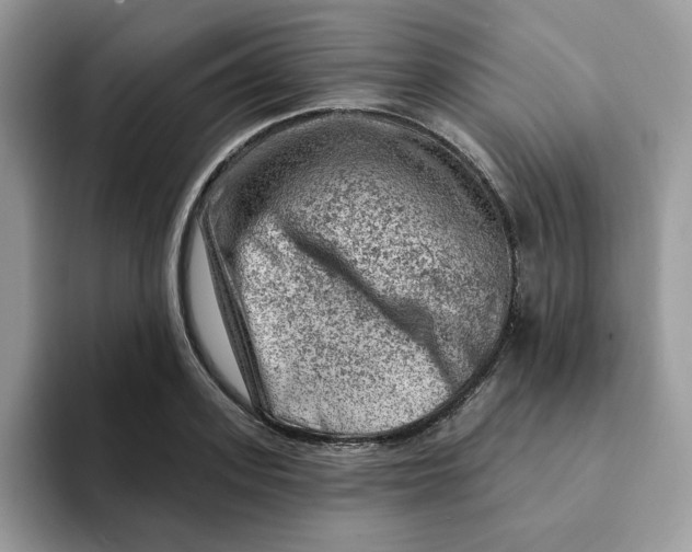 X0000093210939200710171339