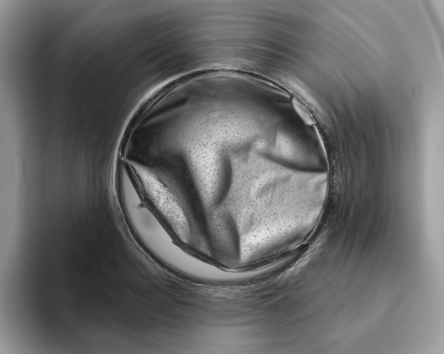 X0000093210940200710171339