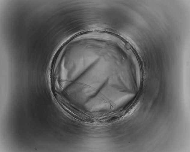 X0000093210941200710171339