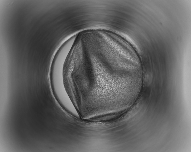 X0000093210943200710171339