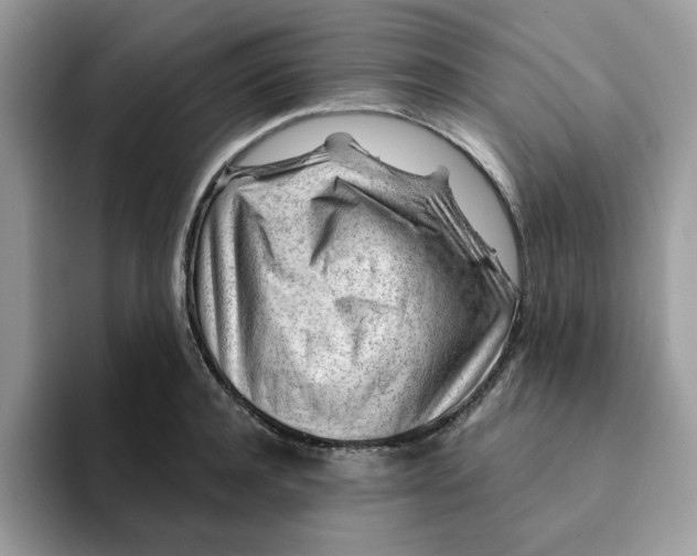 X0000093210944200710171339