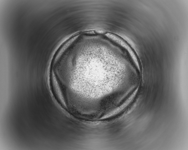 X0000093210949200710171339