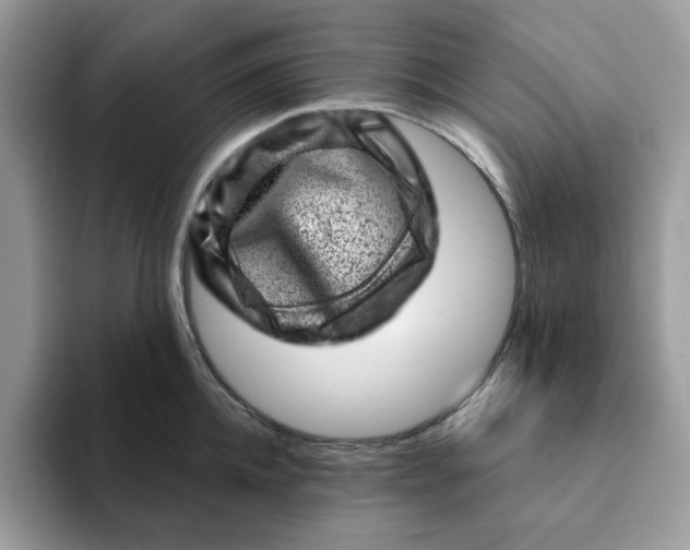 X0000093210952200710171339