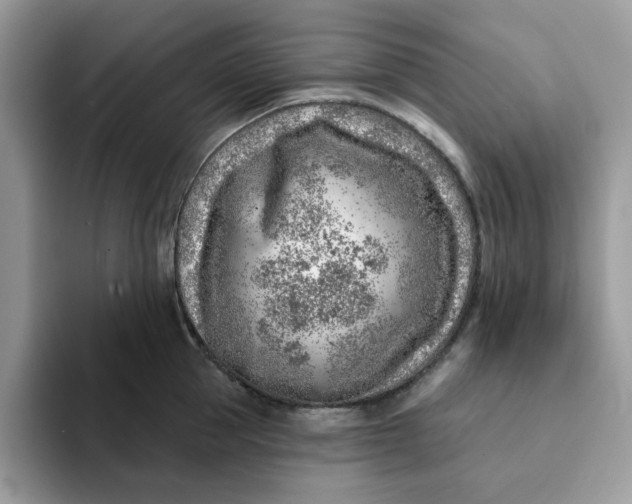 X0000093210953200710171339