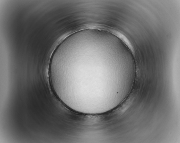 X0000093210954200710171339