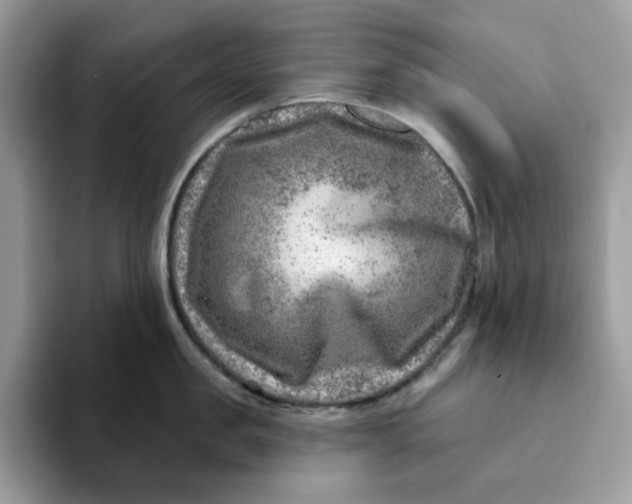 X0000093210957200710171339