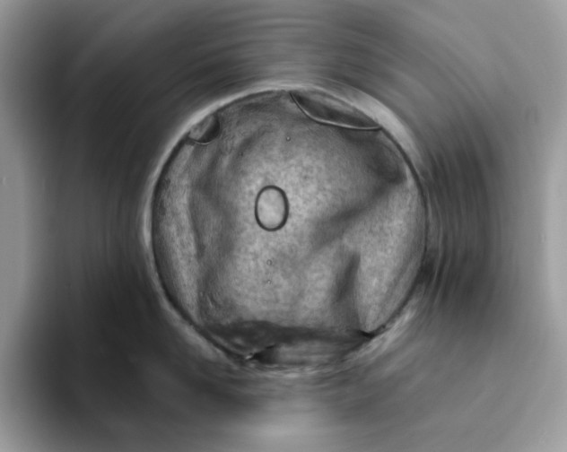 X0000093210958200710171339