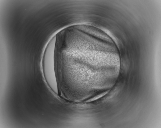 X0000093210959200710171339