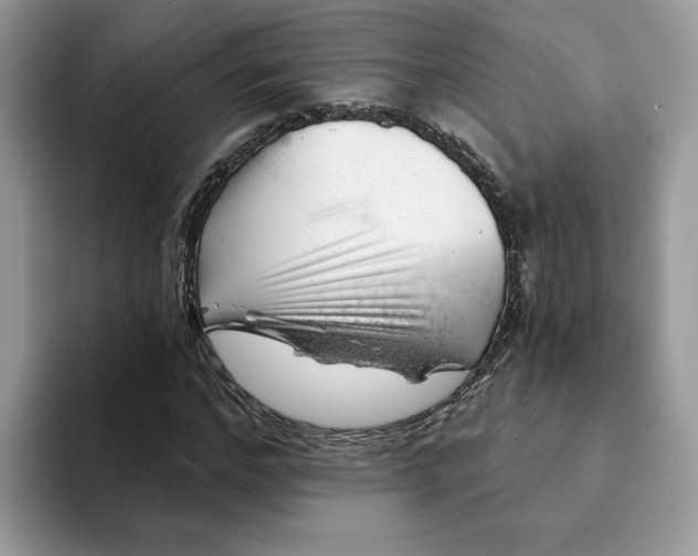 X0000093210968200710171338