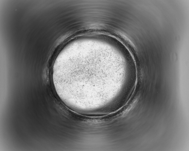 X0000093210970200710171338