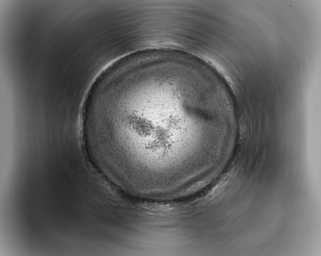 X0000093210975200710171338