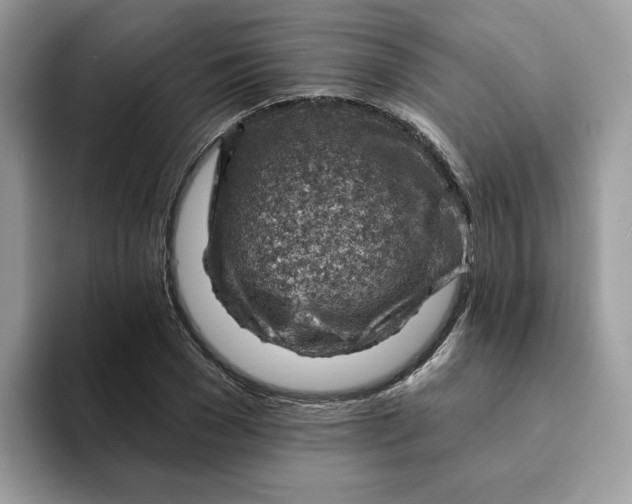 X0000093210977200710171338