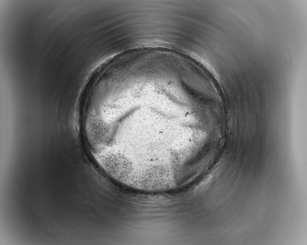 X0000093210979200710171338