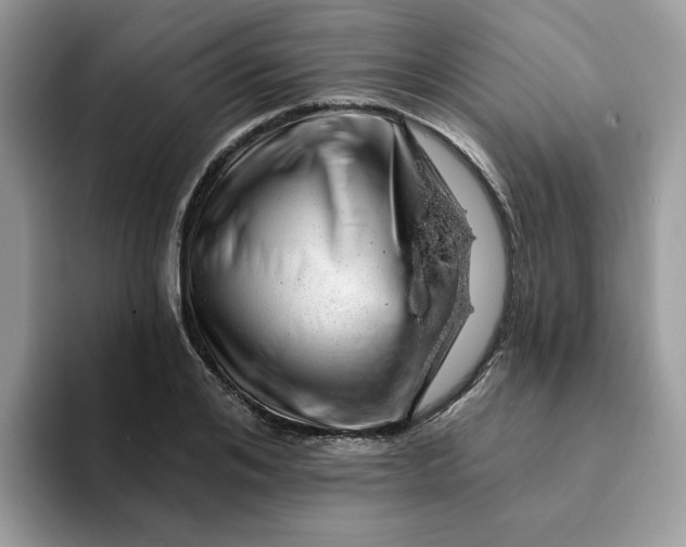 X0000093210984200710171338