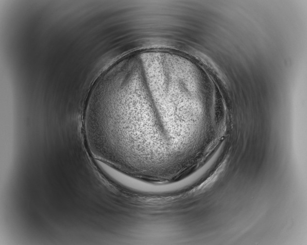 X0000093210985200710171338