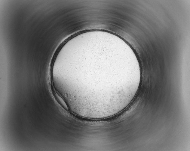 X0000093210988200710171338