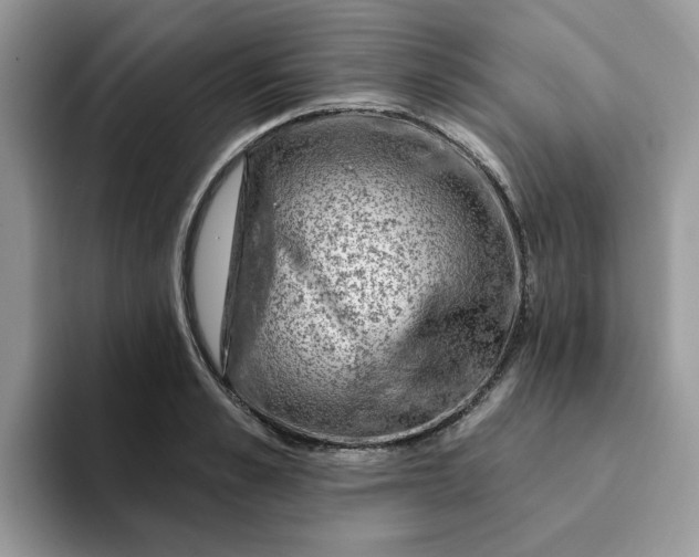 X0000093210989200710171338