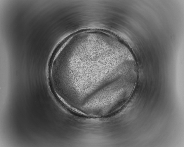 X0000093210990200710171338