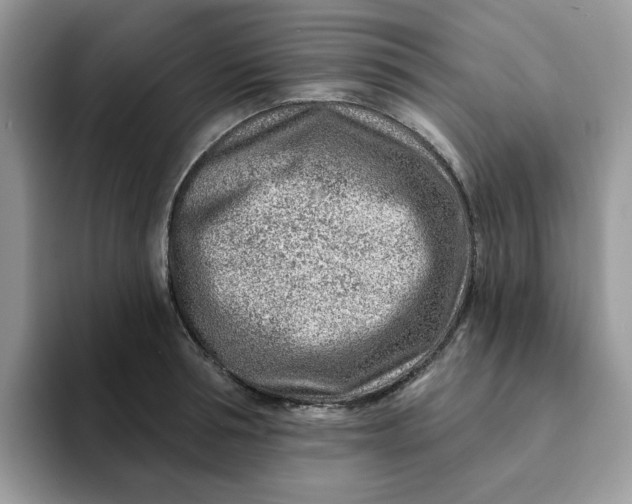 X0000093210994200710171338