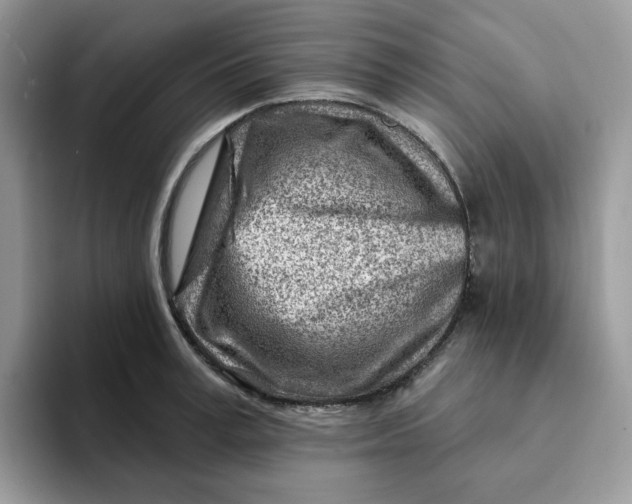 X0000093210995200710171338