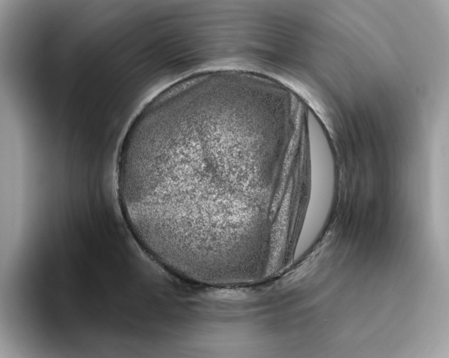 X0000093210998200710171338