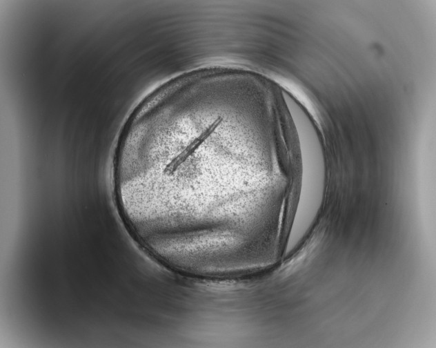 X0000093210999200710171338