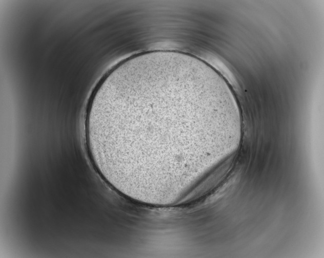 X0000093211000200710171338