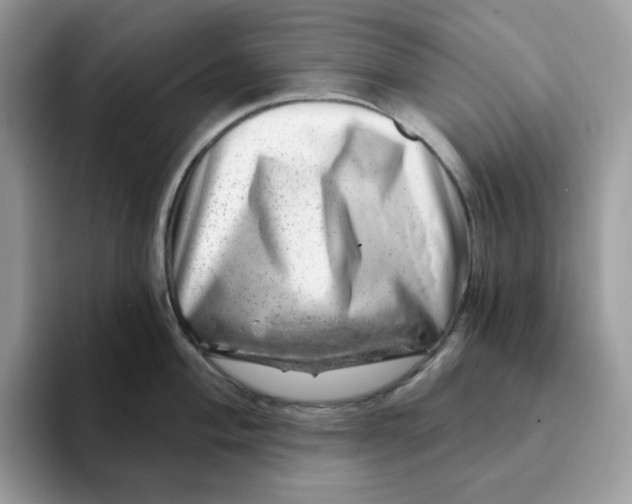 X0000093211004200710171338