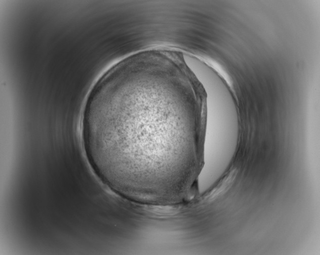 X0000093211007200710171338