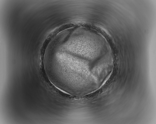 X0000093211016200710171337