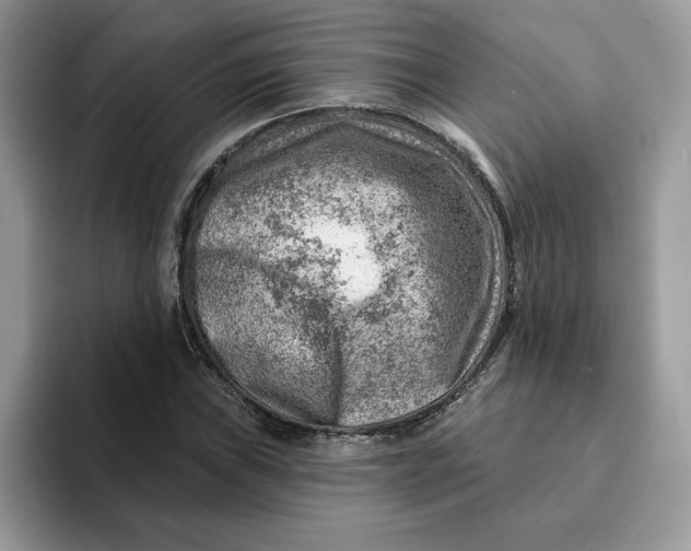 X0000093211019200710171337