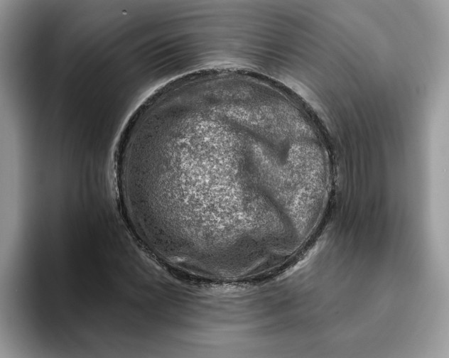 X0000093211022200710171337