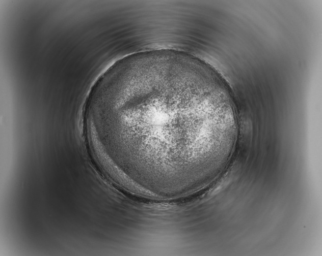 X0000093211023200710171337