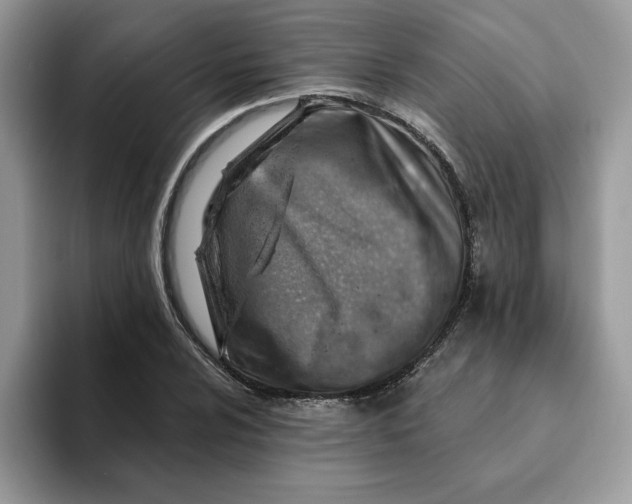 X0000093211024200710171337