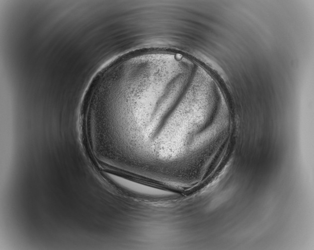 X0000093211029200710171337