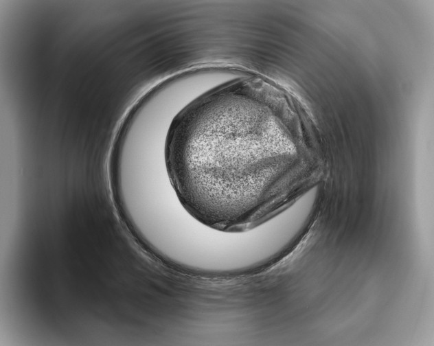 X0000093211030200710171337