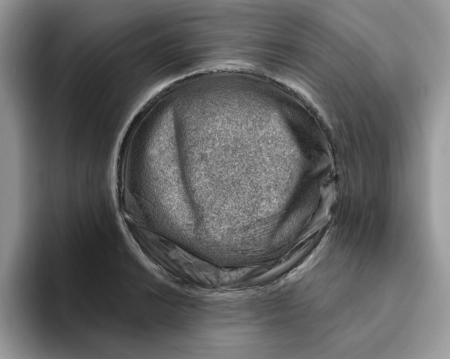 X0000093211038200710171337