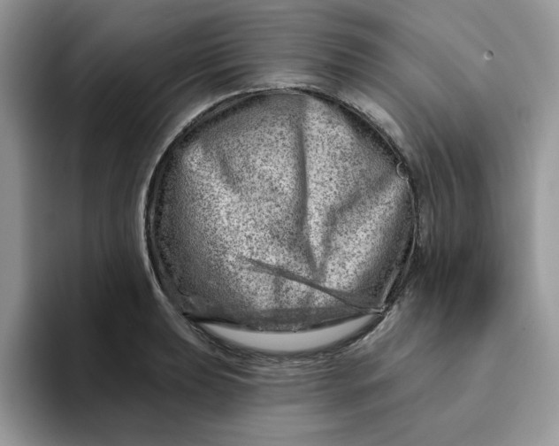 X0000093211039200710171337