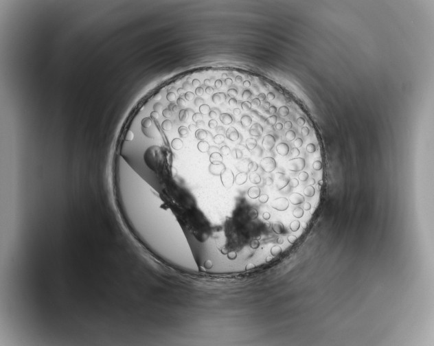 X0000093211040200710171337