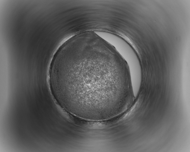 X0000093211042200710171337