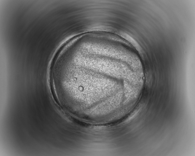 X0000093211043200710171337